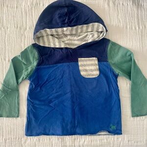 Mini Boden Blue and Green Kids Hoodie